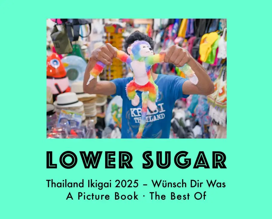 Thailand Ikigai 2025 – The Best Of — book cover